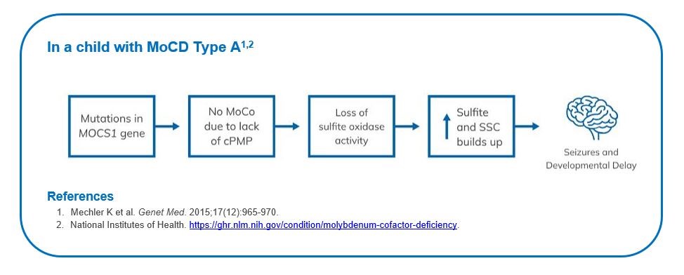 MoCD Type A diagram